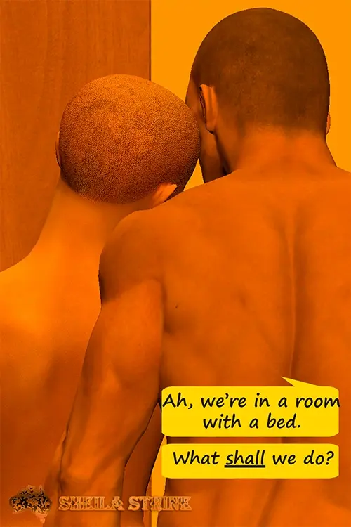 Head and shoulders view of an unclothed man and woman, both of whom are practically bald.  They are facing away from the viewer and the woman is leaning her head on the man's cheek.  Text bubbles say, Ah, we're in a room with a bed.  What shall we do?  The Sheila Strine logo is at the bottom.